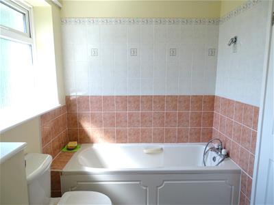 Picture 27